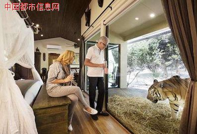 开“猛兽酒店”招揽游客 并非动物保护的正途